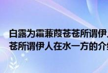 白露為霜蒹葭蒼蒼所謂伊人在水一方（關(guān)于白露為霜蒹葭蒼蒼所謂伊人在水一方的介紹）