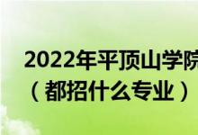 2022年平頂山學(xué)院各省招生計劃及招生人數(shù)（都招什么專業(yè)）