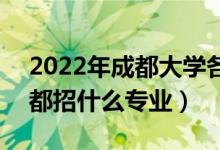 2022年成都大學各省招生計劃及招生人數(shù)（都招什么專業(yè)）