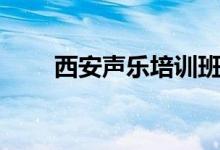 西安聲樂培訓(xùn)班哪個好（如何選擇）