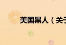 美國(guó)黑人（關(guān)于美國(guó)黑人的介紹）