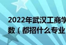 2022年武漢工商學院各省招生計劃及招生人數(shù)（都招什么專業(yè)）