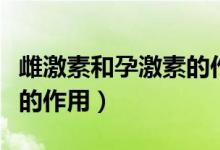雌激素和孕激素的作用時間（雌激素和孕激素的作用）