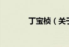 丁寶楨（關(guān)于丁寶楨的介紹）