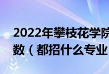 2022年攀枝花學(xué)院在江蘇招生計(jì)劃及招生人數(shù)（都招什么專業(yè)）