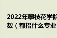 2022年攀枝花學(xué)院在山東招生計(jì)劃及招生人數(shù)（都招什么專業(yè)）