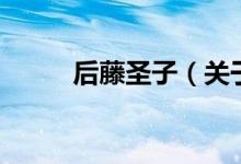 后藤圣子（關(guān)于后藤圣子的介紹）