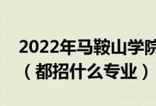 2022年馬鞍山學(xué)院各省招生計劃及招生人數(shù)（都招什么專業(yè)）