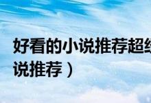 好看的小說(shuō)推薦超經(jīng)典（有什么比較好看的小說(shuō)推薦）