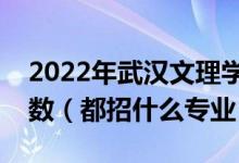 2022年武漢文理學(xué)院各省招生計劃及招生人數(shù)（都招什么專業(yè)）