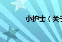 小護士（關(guān)于小護士的介紹）