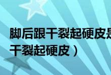 腳后跟干裂起硬皮是什么原因（為什么腳后跟干裂起硬皮）
