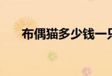 布偶貓多少錢一只（布偶貓價格介紹）