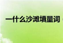 一什么沙灘填量詞（如何填寫一什么沙灘）