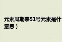 元素周期表51號元素是什么呀（元素周期表51號元素是什么意思）