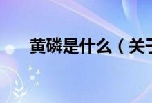 黃磷是什么(關(guān)于黃磷是什么的介紹)