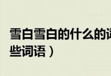 雪白雪白的什么的詞語(yǔ)（雪白雪白的分別有哪些詞語(yǔ)）