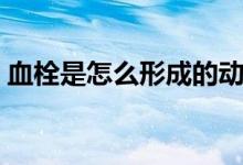 血栓是怎么形成的動畫（血栓是怎么形成的）