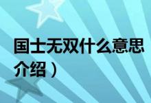 國士無雙什么意思（關(guān)于國士無雙什么意思的介紹）