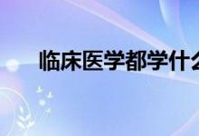 臨床醫(yī)學都學什么（主要課程有哪些）