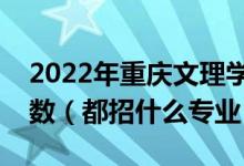 2022年重慶文理學(xué)院各省招生計劃及招生人數(shù)（都招什么專業(yè)）