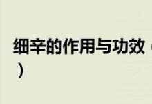 細辛的作用與功效（細辛的作用與功效是什么）