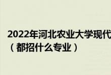 2022年河北農(nóng)業(yè)大學(xué)現(xiàn)代科技學(xué)院各省招生計(jì)劃及招生人數(shù)（都招什么專業(yè)）