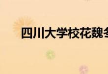 四川大學(xué)校花魏冬瑞（被稱(chēng)銀杏女神）