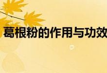 葛根粉的作用與功效禁忌（這里有簡單介紹）