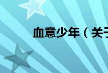 血意少年（關(guān)于血意少年的介紹）