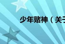 少年賭神（關于少年賭神的介紹）