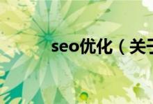 seo優(yōu)化（關(guān)于seo優(yōu)化的介紹）