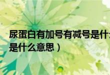 尿蛋白有加號(hào)有減號(hào)是什么意思（尿蛋白一個(gè)加號(hào)一個(gè)減號(hào)是什么意思）