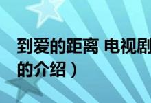 到愛的距離 電視?。P于到愛的距離 電視劇的介紹）