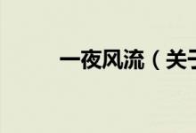 一夜風(fēng)流（關(guān)于一夜風(fēng)流的介紹）