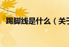 踢腳線是什么（關于踢腳線是什么的介紹）