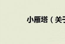 小雁塔（關(guān)于小雁塔的介紹）
