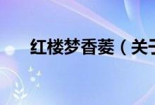 紅樓夢(mèng)香菱（關(guān)于紅樓夢(mèng)香菱的介紹）