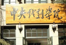 藝考專(zhuān)業(yè)課成績(jī)不理想？單憑文化課也考入頂級(jí)藝校