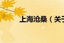 上海滄桑（關(guān)于上海滄桑的介紹）