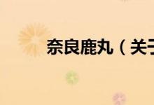 奈良鹿丸（關(guān)于奈良鹿丸的介紹）