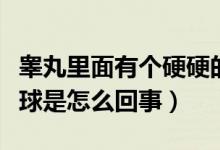 睪丸里面有個(gè)硬硬的小球（陰囊里面有個(gè)硬小球是怎么回事）
