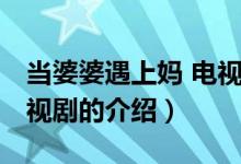 當(dāng)婆婆遇上媽 電視?。P(guān)于當(dāng)婆婆遇上媽 電視劇的介紹）