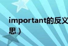 important的反義詞（important是什么意思）