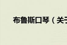 布魯斯口琴（關于布魯斯口琴的介紹）