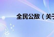 全民公敵（關(guān)于全民公敵的介紹）