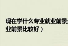 現(xiàn)在學什么專業(yè)就業(yè)前景最好女生（現(xiàn)在女生學什么專業(yè)就業(yè)前景比較好）