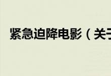 緊急迫降電影（關(guān)于緊急迫降電影的介紹）