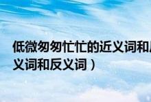 低微匆匆忙忙的近義詞和反義詞是什么（低微匆匆忙忙的近義詞和反義詞）