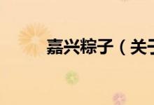 嘉興粽子（關(guān)于嘉興粽子的介紹）